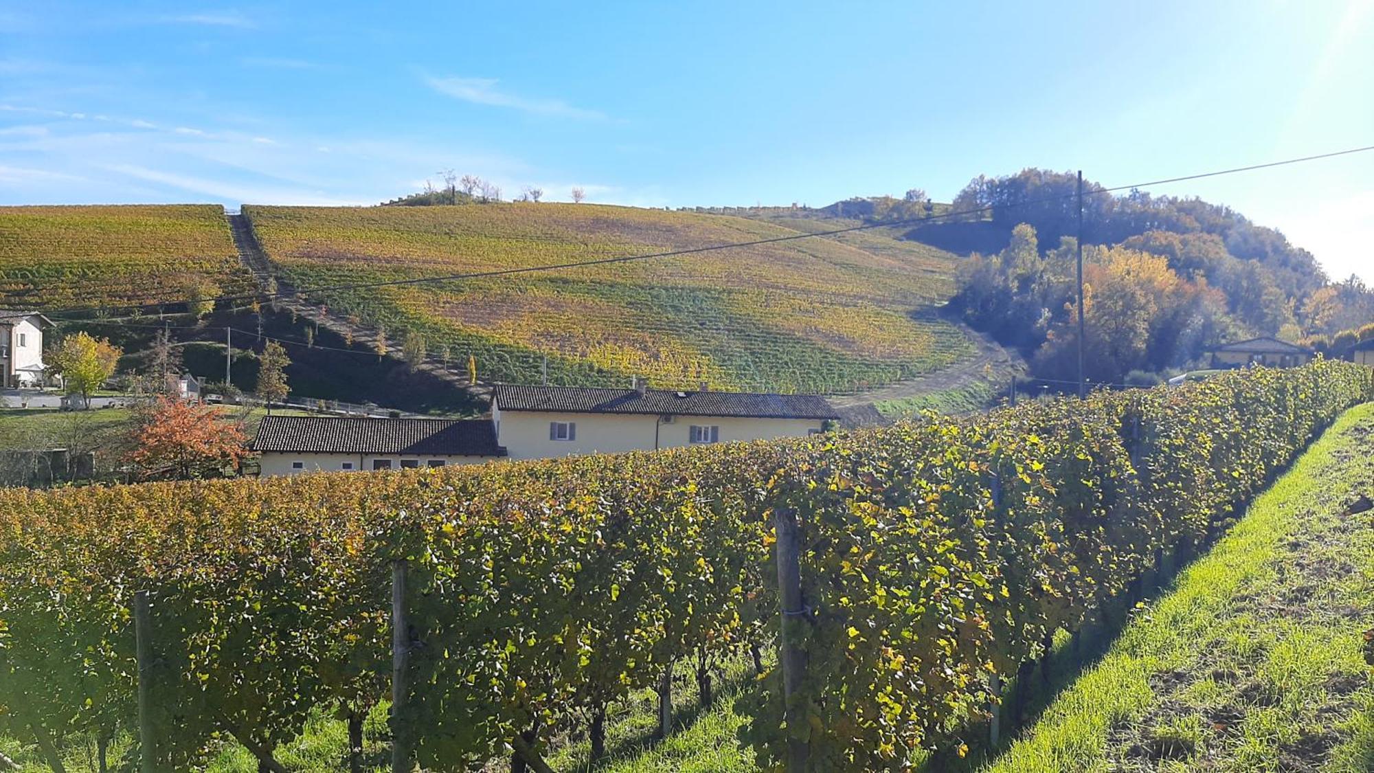 Ciabot Delle Aie - Barolo Apartment ภายนอก รูปภาพ
